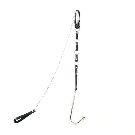 Kinky Leash Anal with 5853 EverydayUse Collar and Hook 0626